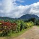 HAWAII_KAUAI_Hanalei