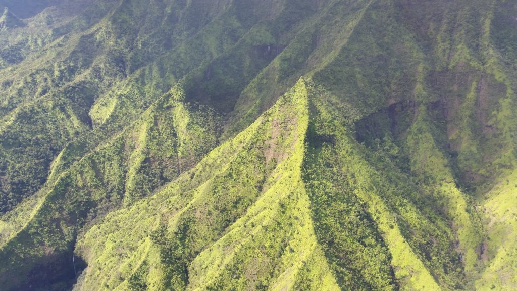Napali Coast FLIGHT
